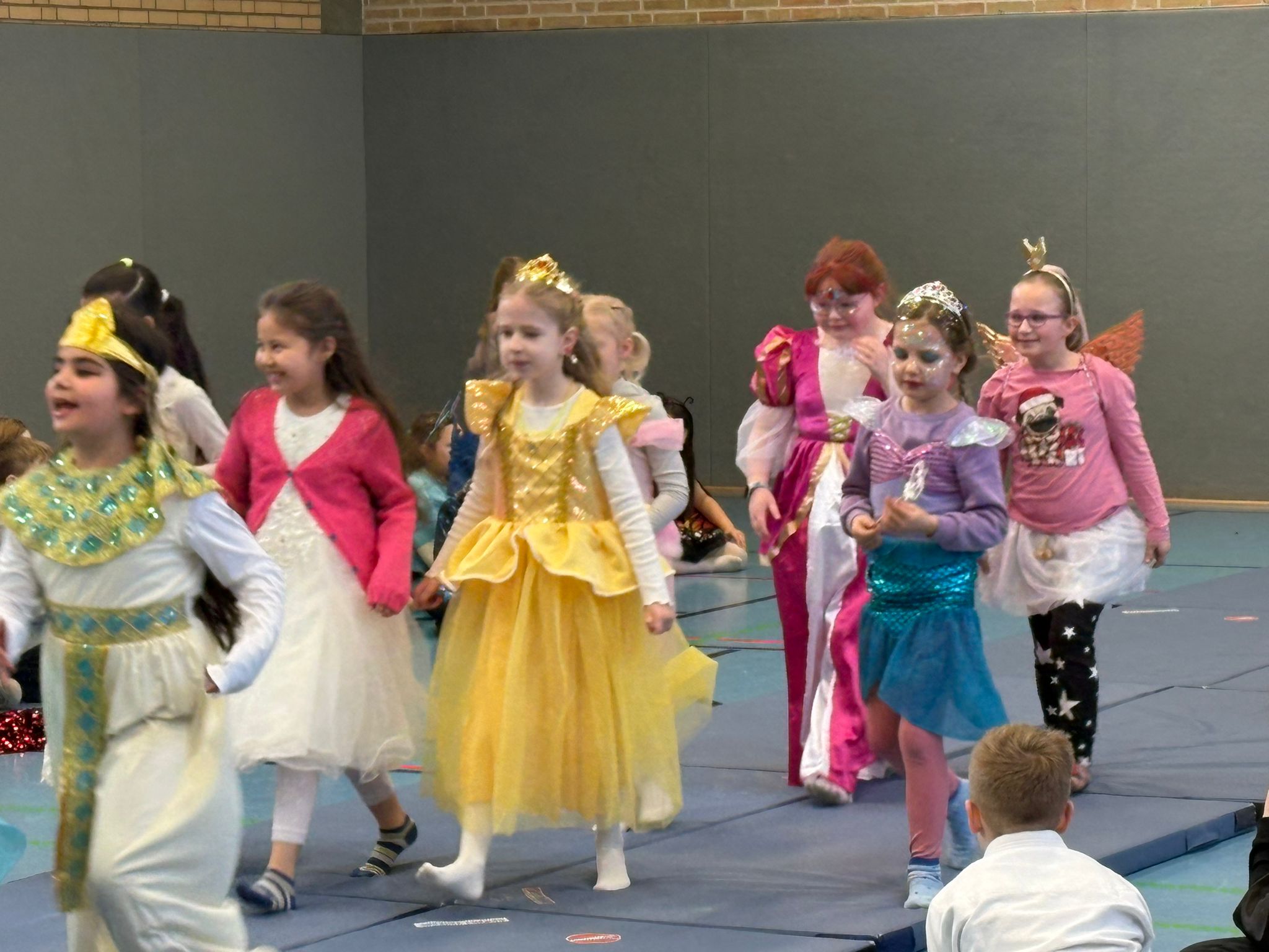 IMG-20260213-WA0049 IMG-20260213-WA0049