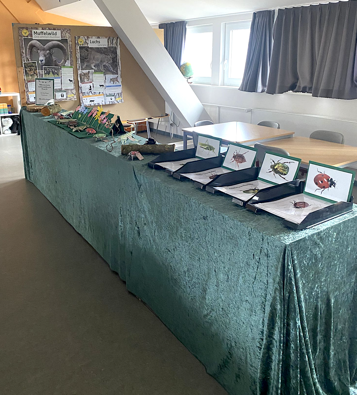 Insektenausstellung (1)