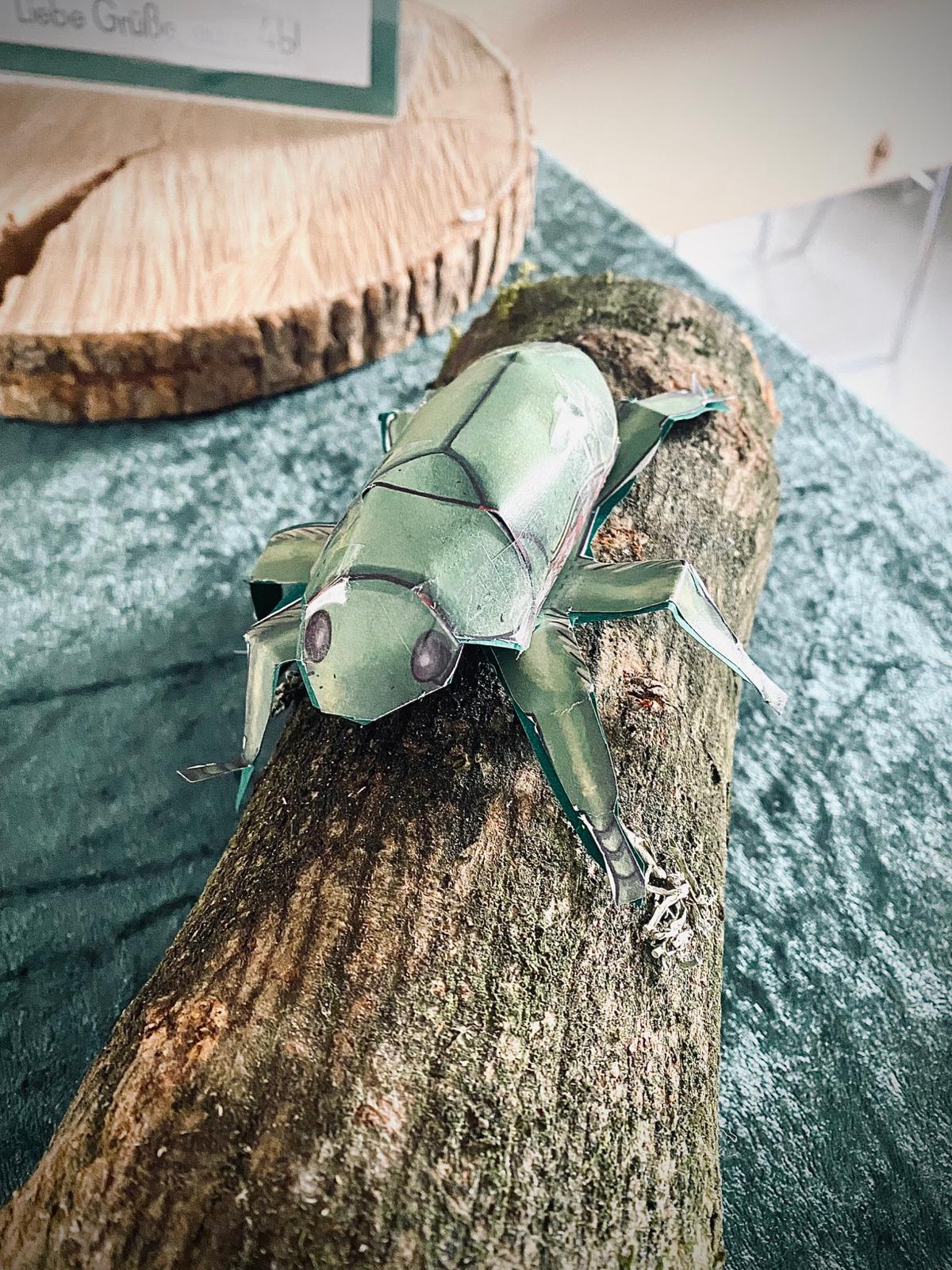 Insektenausstellung (2)