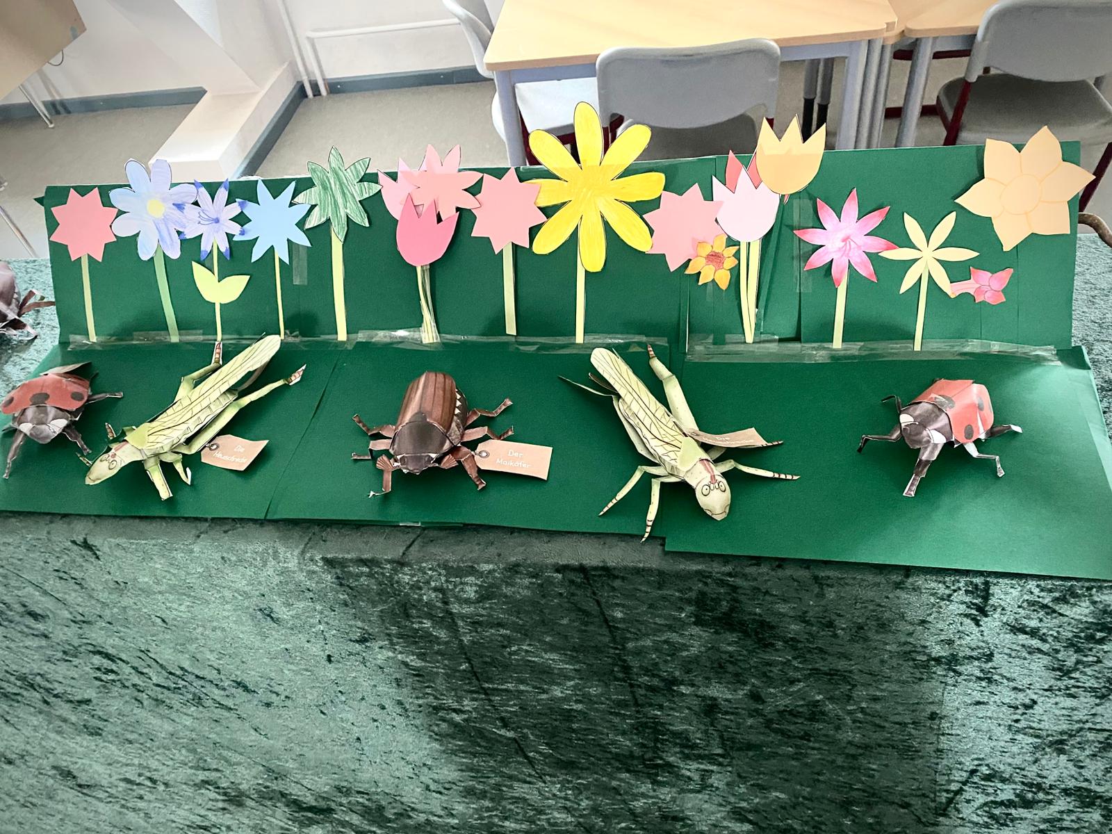 Insektenausstellung (4)