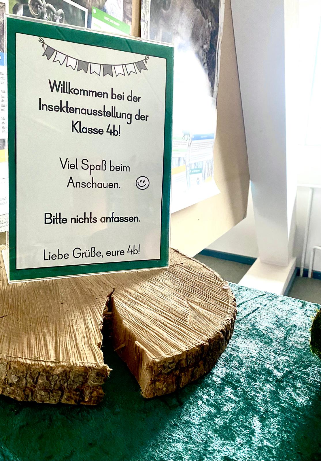 Insektenausstellung (6)